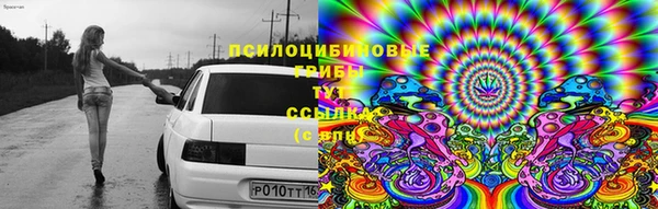 метадон Рославль